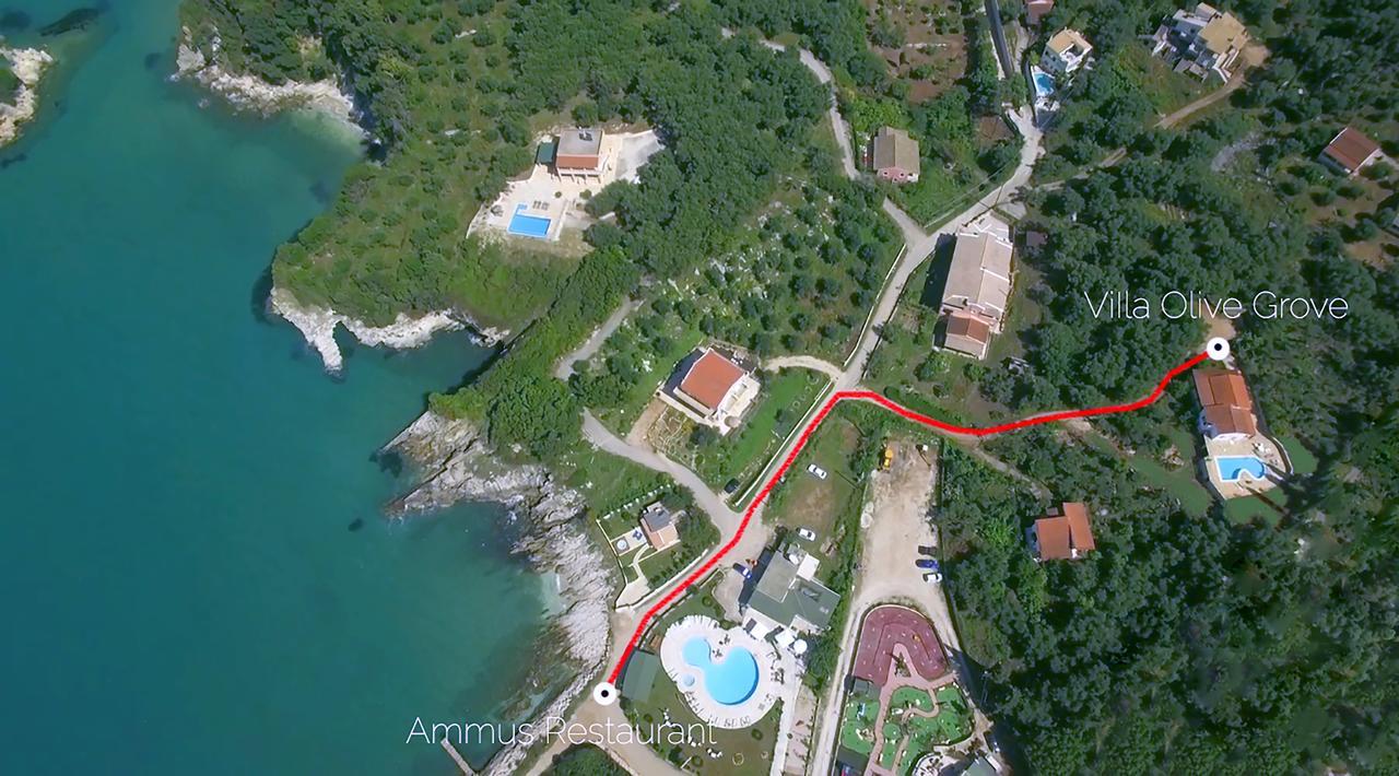 Villa Olive Grove And Sea View Agios Spyridon  Экстерьер фото
